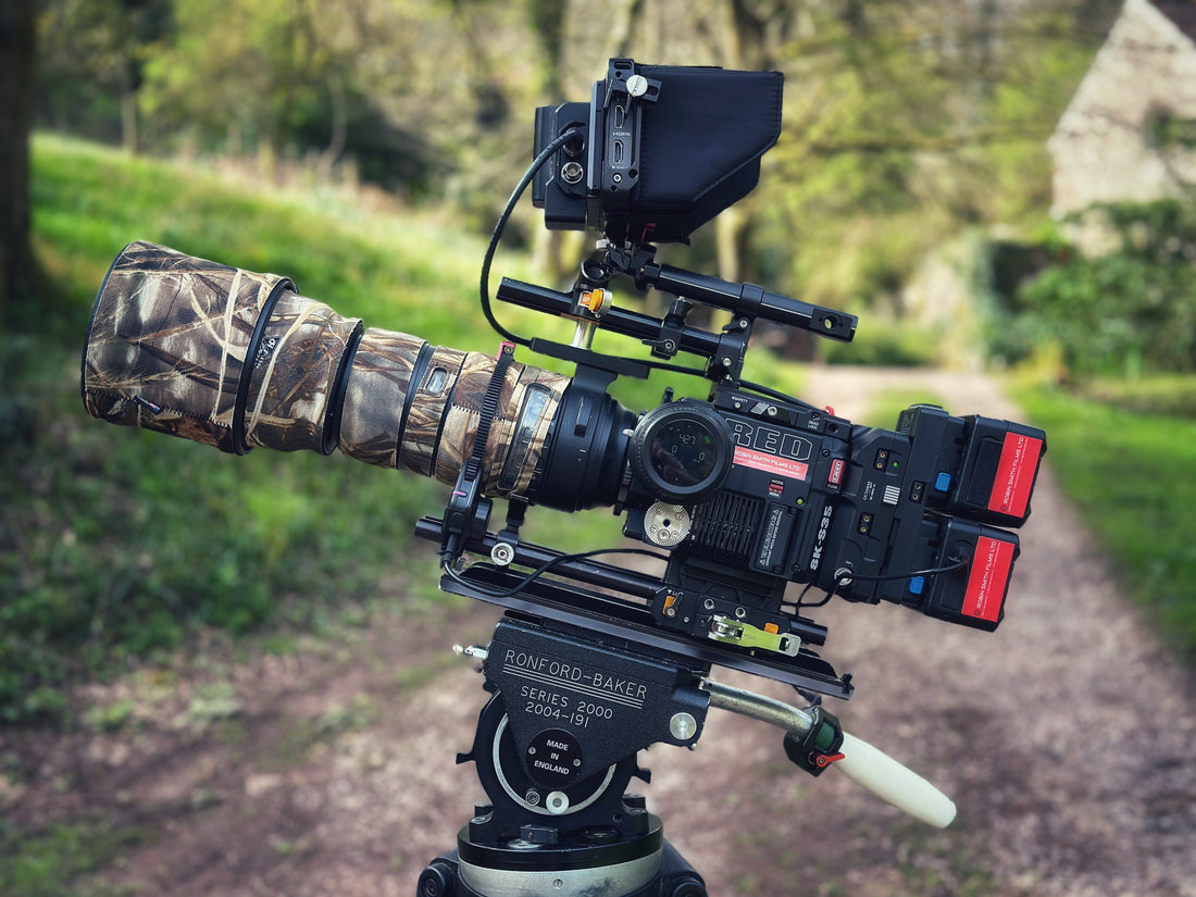 Capturing the Natural World with Robin Smith