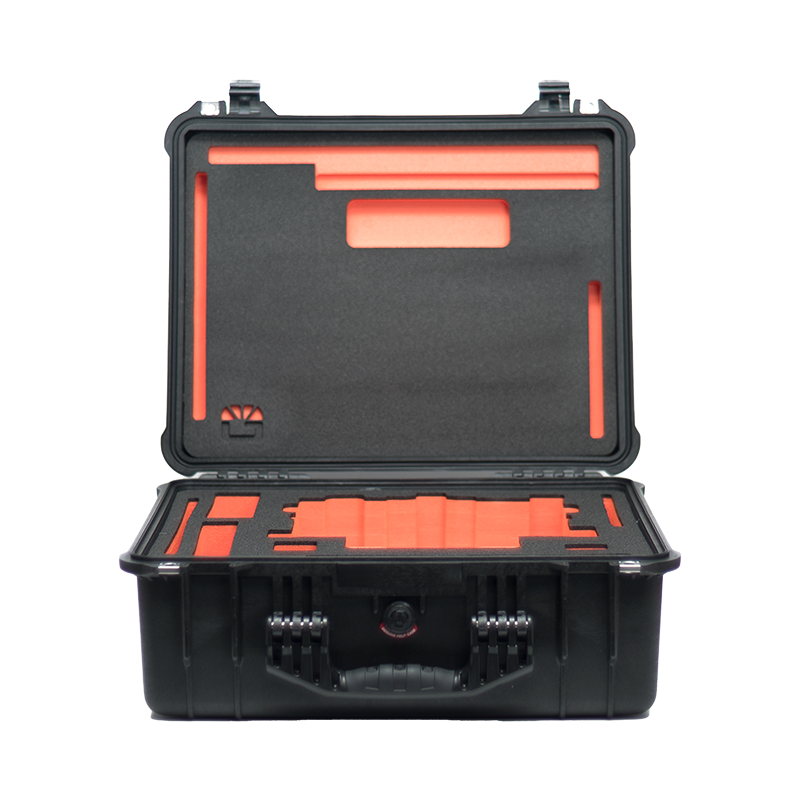 B1350 1002 Strummer DNA Hardcase web